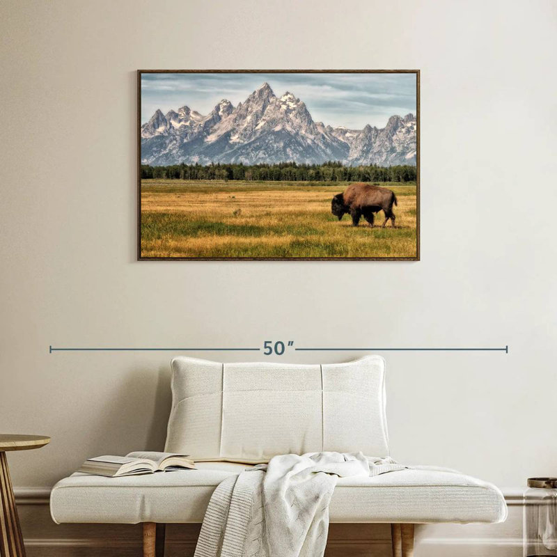 Bull Bison à Grand Teton, 37 po x 25 po, Cadre flottant noyer