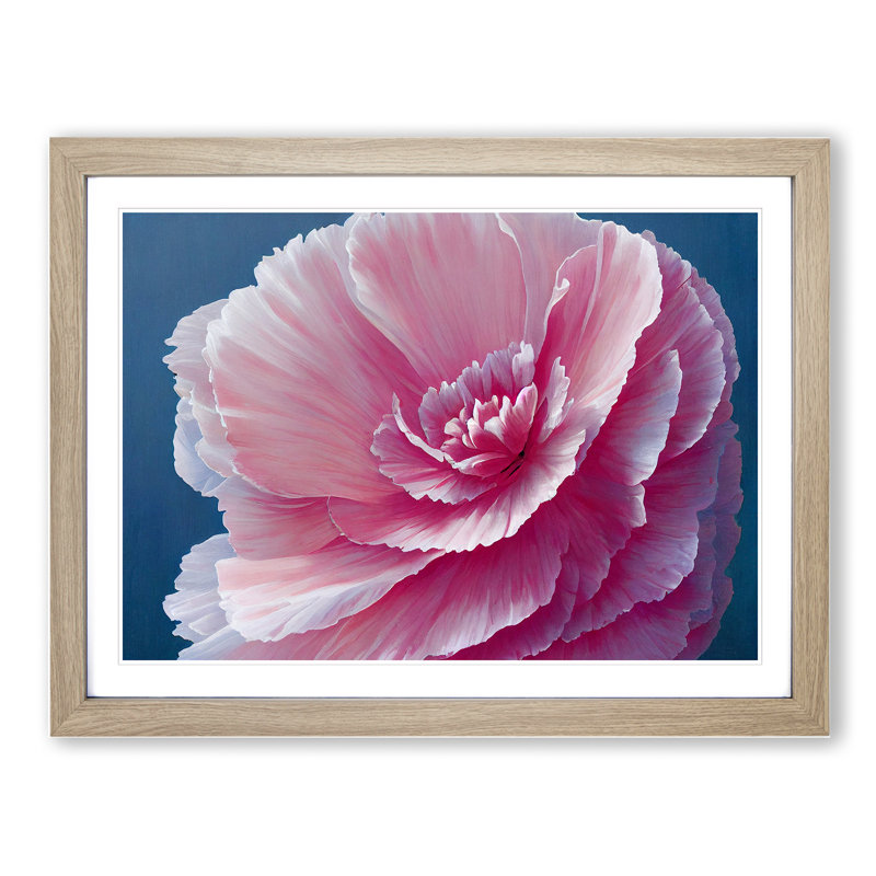 Overwhelming Carnation Flower - Single Picture Frame Print, 25cm H x 34cm W x 2cm D, Oak