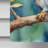House Flag-112700331