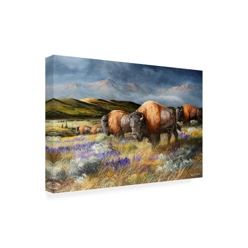 Art sur toile Trevor V. Swanson «Spring Storms Passing», H 16 po x l 24 po x P 2 po