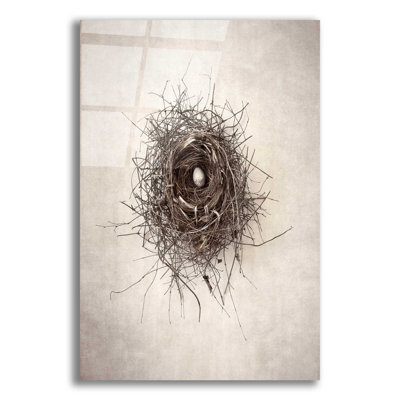 Latitude Run® 'Nest I' By Debra Van Swearingen, Acrylic Glass Wall Art, 16"X24"