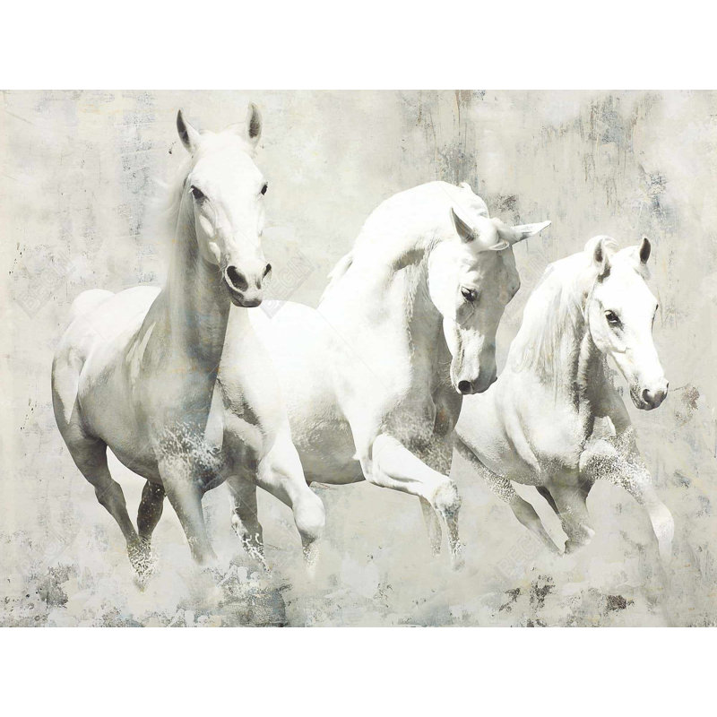 Trois chevaux blancs qui courent sur toile, H 48 po x l 36 po
