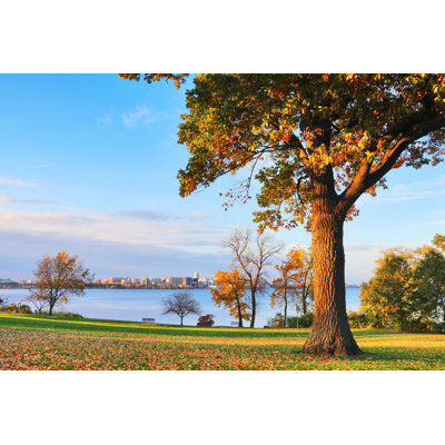Zaryah, ville de Madison