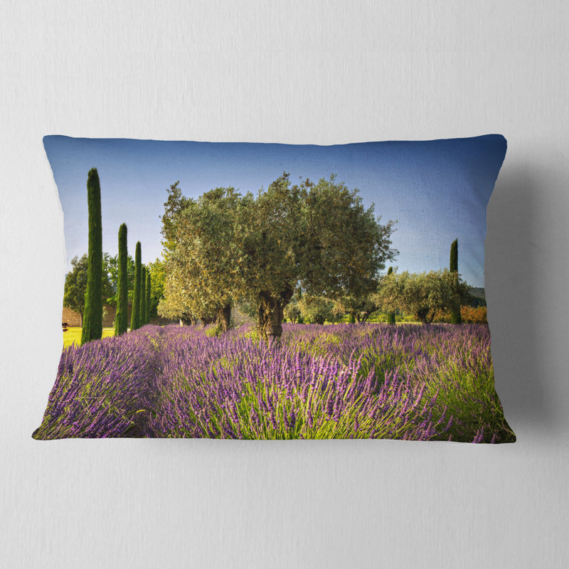 Coussin magnifique lavande et olivier
