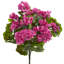 Geranium Bush Silk Plant