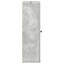 Bucherie Bathroom Cabinet-1785244461