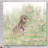 Peter Cottontail Gallery Wrapped Canvas Decorative Accent-1011092351