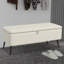 Polyester Upholstered Bench with Flip Top-1810592259