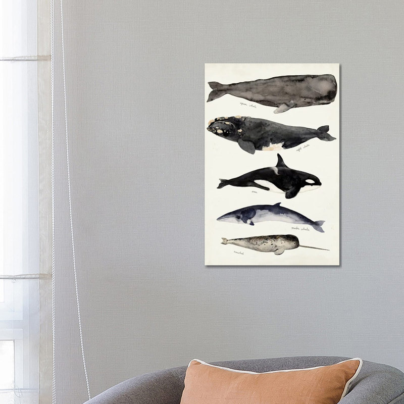 Whale Chart I by Victoria Barnes - Wrapped Canvas Painting, 66.04 cm H x 45.72 cm W x 1.91 cm D