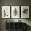 Elegant Tropicals III - Impression sur mesure encadrée de qualité supérieure - 3 pièces
