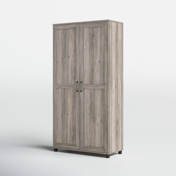 Sauder HomePlus 2-Barn Door Engineered Wood Narrow Storage Cabinet