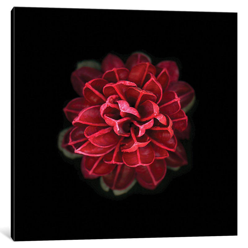 «In Red», impression sur toile, H 12 po x l 12 po x P 1,5 po, Toile tendue