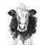 Impression de vache sur toile