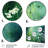 Plants & Flowers Wall Decor on Metal
