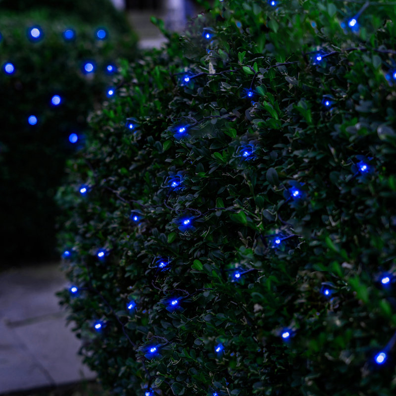 Edie Outdoor 125 - Bulb 68'' Solar Powered LED Wide Angle LED String Light, Blue
