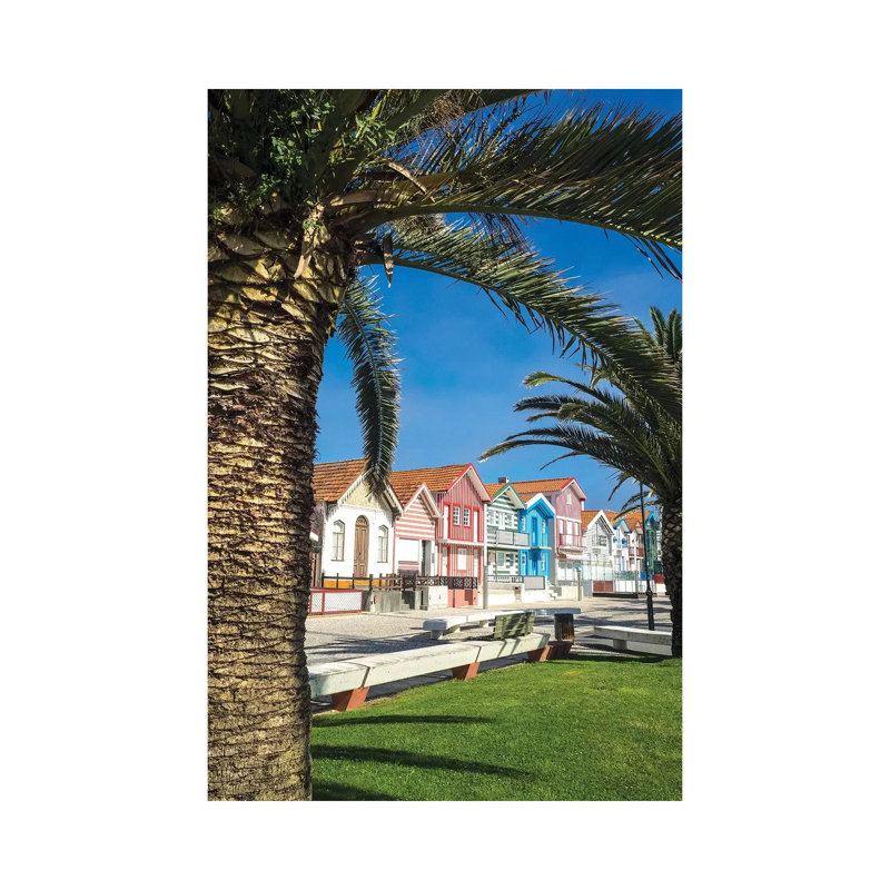 houses in Palheiros, Costa Nova, 101.6cm H x 66.04cm W