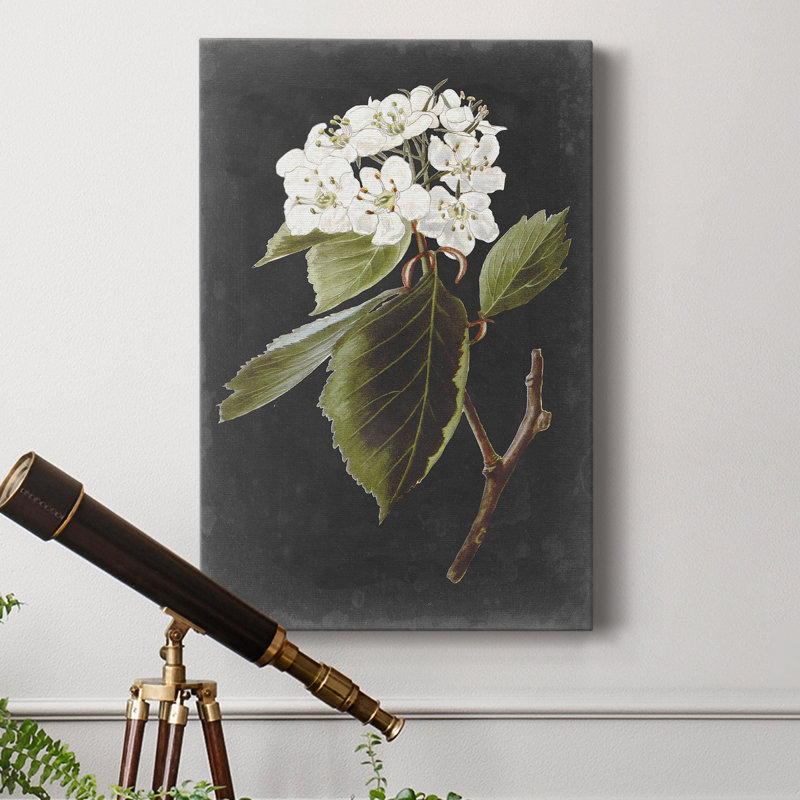 Fleurs blanches dramatiques I - impression, H 27 po x l 18 po x P 1 po