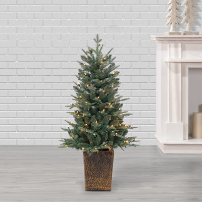 Potted 4' Pre-Lit Spruce Christmas Tree