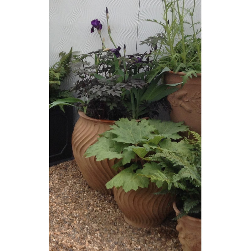 Mairead Handmade Pot Planter, Small