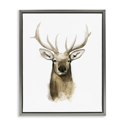 Portrait de cerf, aquarelle