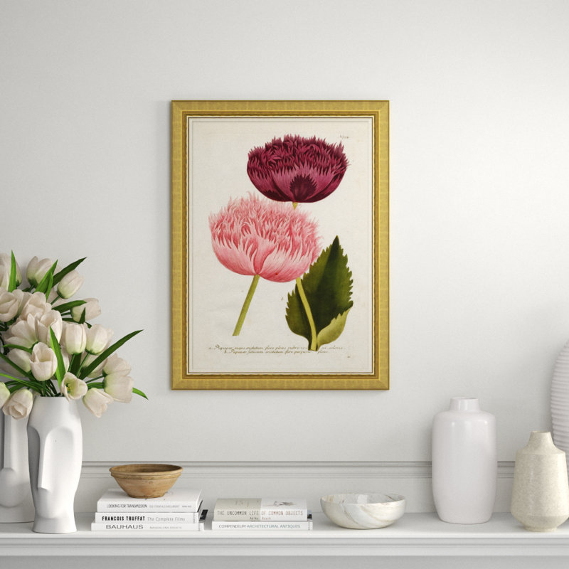 Flora In Pink 2