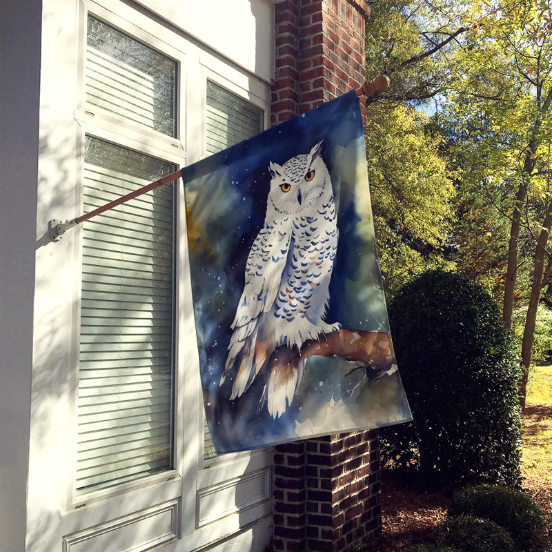 Drapeau Snowy Owl House_DAC3266