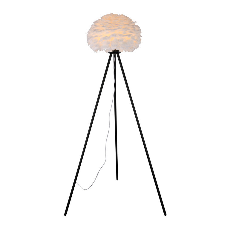1 Light Black Floor Lamp with A White Goose Feather Ball