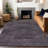 Premium Machine Washable Prisco Eggplant Rug-504823375