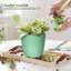 Pots à plantes d'intérieur avec drainage-1952380640
