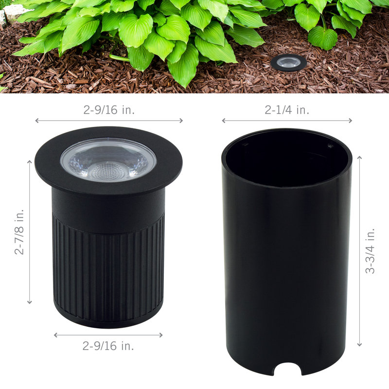 Black and White Inground LED Landscape Light