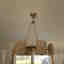 Photos des clients 1 de 2
