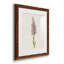 Mauve Garden Flowers I - ensemble de 4 peintures encadrées-1257449926-1257449931