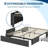 Queen Size Bed Frame with 3 Storage Drawers Dark Gray,Platform