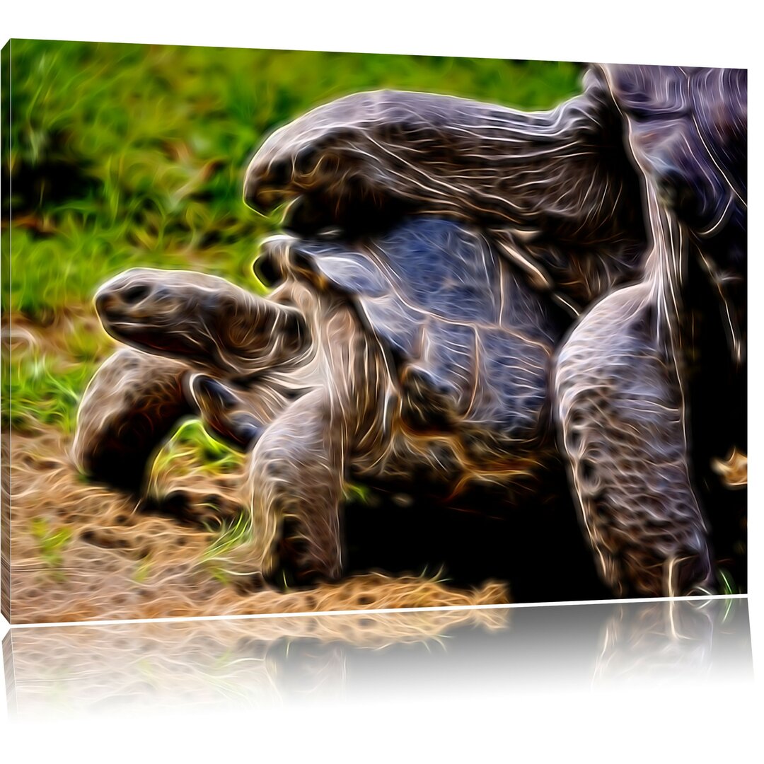 Leinwandbild Liebevolles Schildkrötenpaar in Braun/Grün