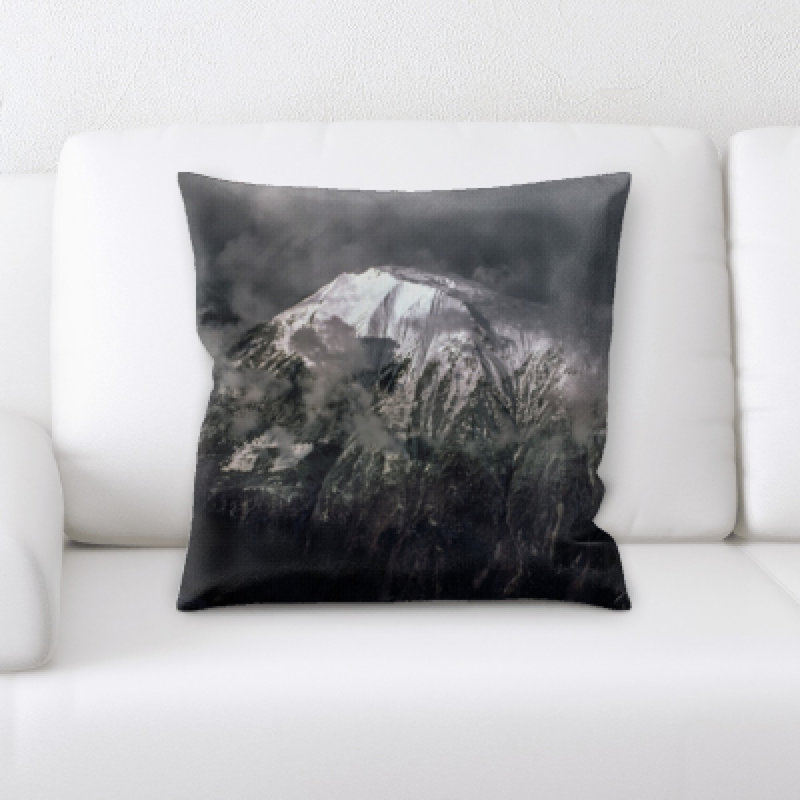 Landrum Throw Pillow