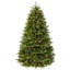 Fraser 7.5' Lighted Artificial Fir Christmas Tree