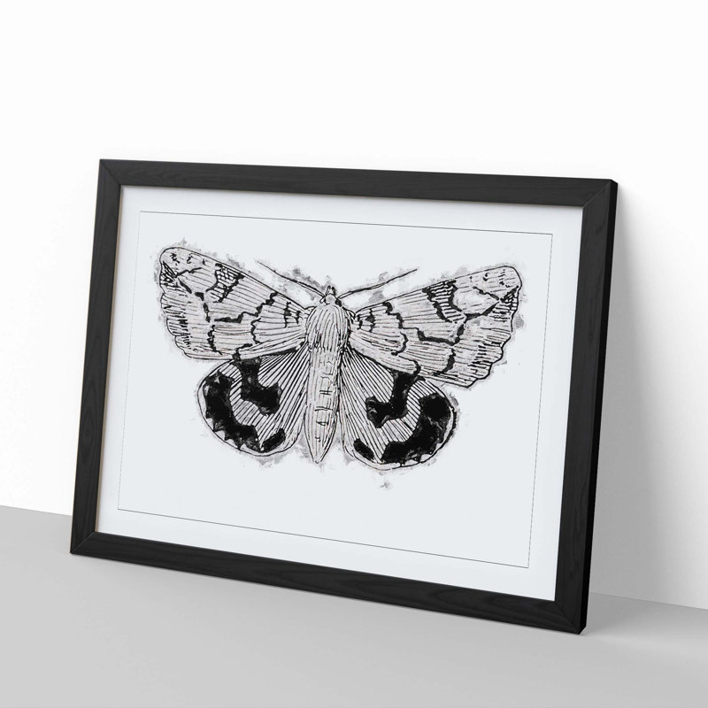 Underwing Moth by S.F. Denton - Picture Frame Painting Print, Black Framed, 48cm H x 65cm W x 2cm D