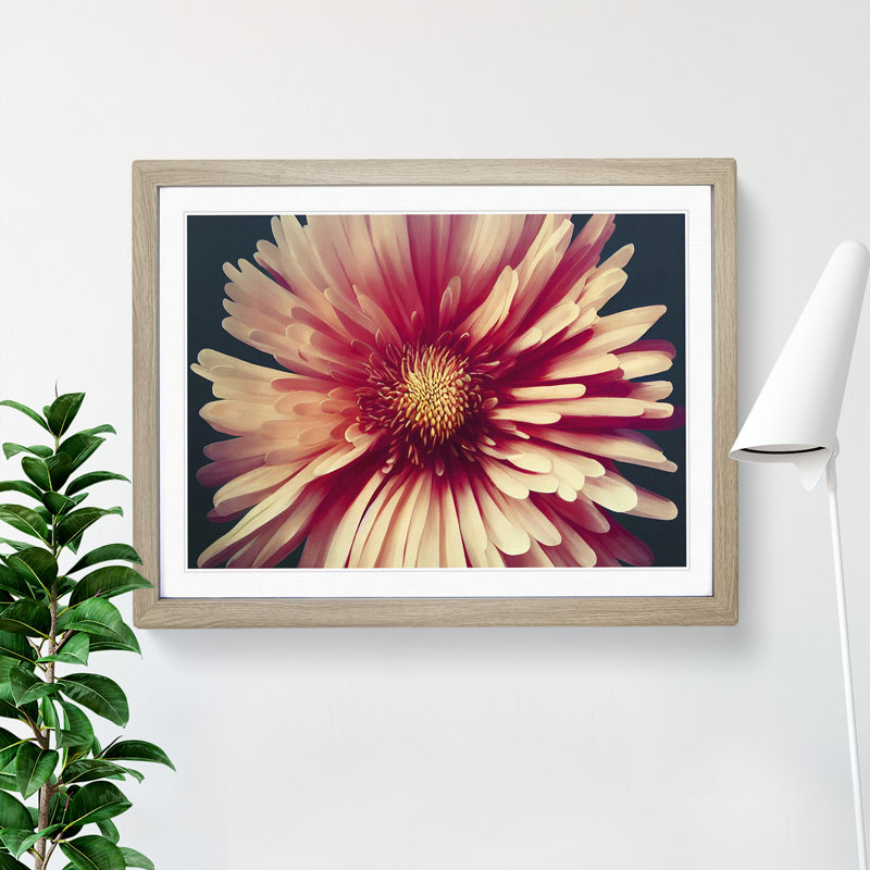 Fancy Chrysanthemum Flower 1 Piece Single Picture Frame Wall Art, 46cm H x 64cm W x 2cm D, Oak