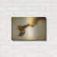 Ebern Designs «Mulberry 2» par Jessica Rogers, art mural en métal-1787598407