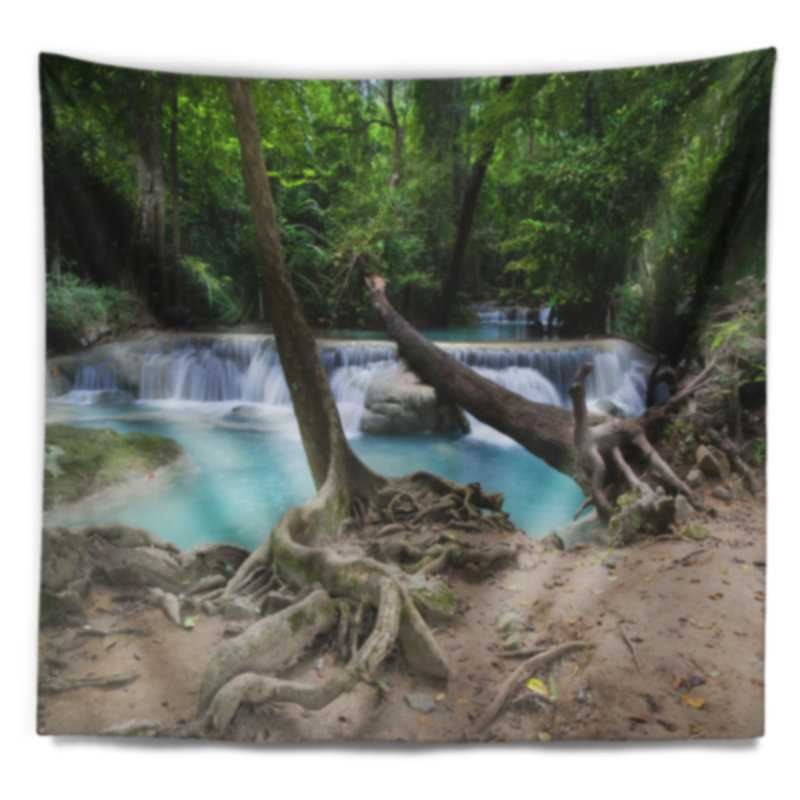 Photographie forêt tropicale paysage tapisserie, H 32 po x l 39 po