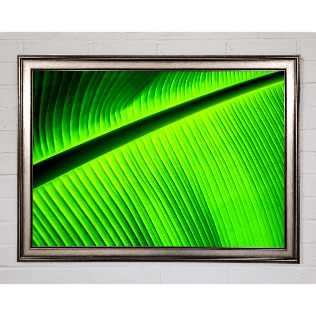 Light Of The Green Leaf - Einzelner Bilderrahmen Kunstdrucke