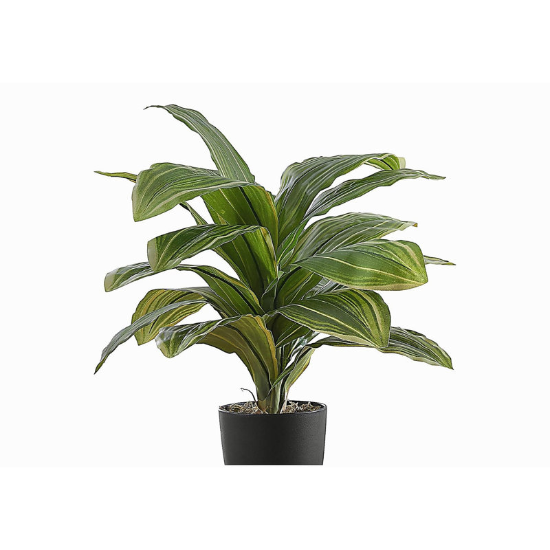 Plante artificielle, 17 po de hauteur, Dracaena, intérieur, faux, faux, table, verdure, pot, touche réelle, décoratif, feuilles vertes, pot noir