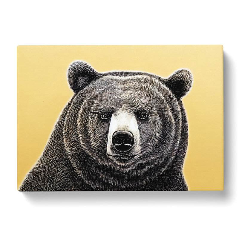 The Interesting Bear - Wrapped Canvas, 35cm H x 50cm W x 3cm D