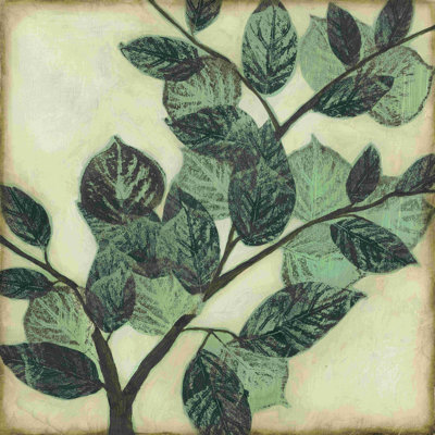 Feuilles graphiques I