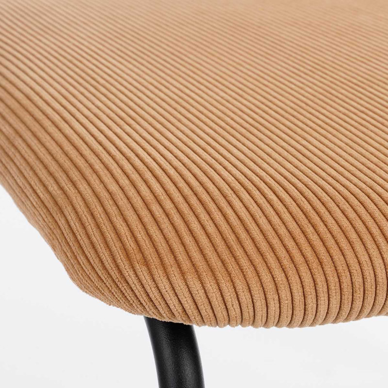 Rumson 40cm H Velvet Upholstered Side Chair, Brown