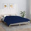 Abiegail Throw-2140787009-2140787010