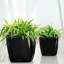 Quadro Premium Pot Planter-16493066-16493069