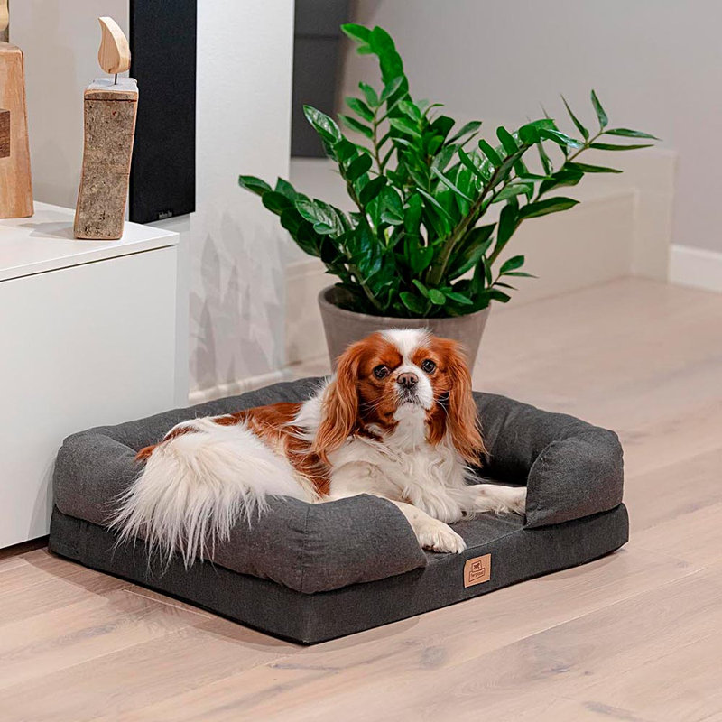 Ferplast Beddings Orthopedic Cotton Pet Bed, 16.5cm H x 52cm W x 52cm D