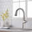 MODLAND Pull Out and Pull Down Kitchen Faucet-87119720