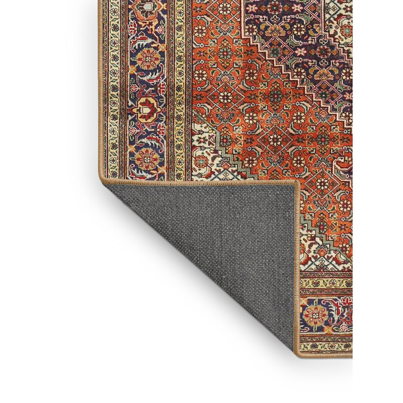 Tapis rouge / brun Izabelle Southwestern, Rectangle 2 pi x 5 pi